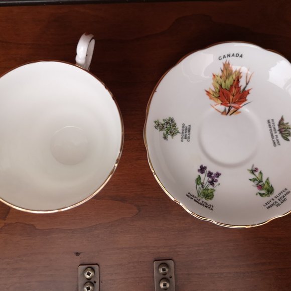 Royal Consort and Royal Darwood Canada related cup&saucer - Picture 9 of 10